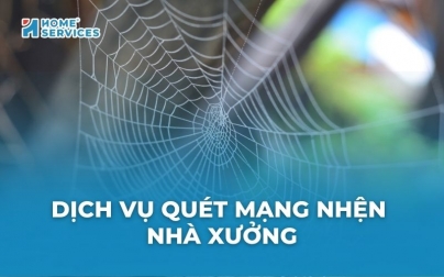 Dịch vụ quét mạng nhện nhà xưởng: nhận báo giá mới nhất 2025