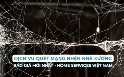 Dịch vụ quét mạng nhện nhà xưởng: nhận báo giá mới nhất 2024