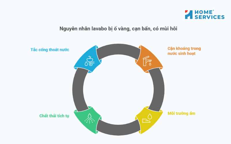 Nguyên nhân lavabo bị ố vàng, cặn bẩn và mùi hôi
