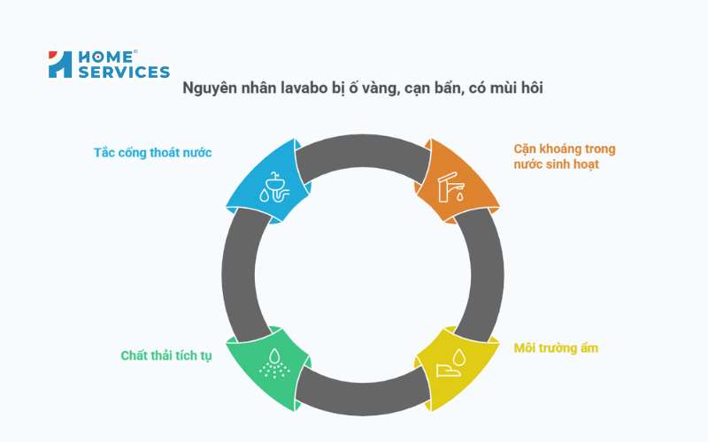 Nguyên nhân lavabo bị ố vàng, cặn bẩn, mùi hôi